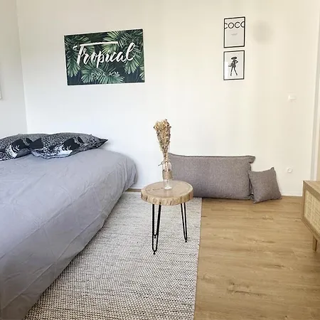 Apartamento Le Nid - Estrasburgo